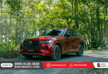 Mobil Mazda Bekas Terbaik